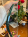 Load image into Gallery viewer, Custom-Cut Glass Top with 1/2" Beveled
