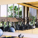 Load image into Gallery viewer, Home Gym Mirror – Ultra Clear &amp; Shatter-Resistant
