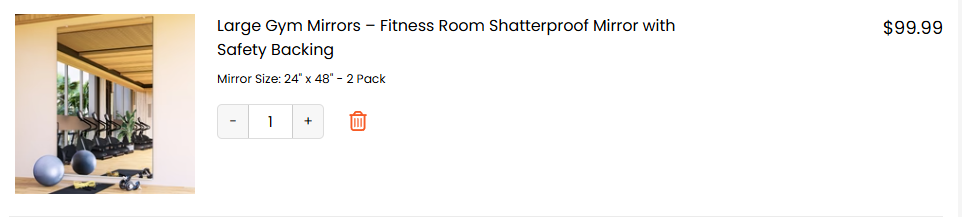 24" x 48" Large Gym Mirrors – Fitness Room Shatterproof Mirror with Safety Backing (2pack)