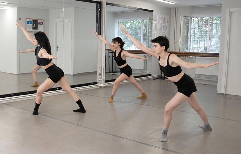 Custom Dance Studio Mirrors