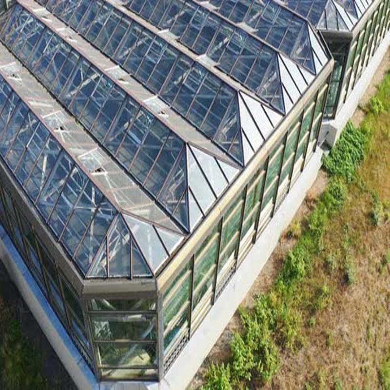 Custom Cut Laminated Glass For Greenhouse